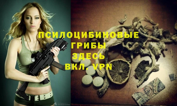 spice Волосово